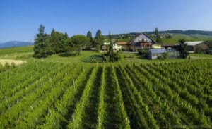 Domaine de la Capitaine Traiteur Vaud